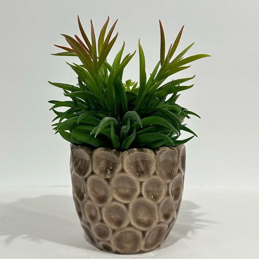 Ceramic Potted Faux Succulents Artificial Plant Decor